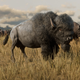 Image for article titled Rockstar Finally Promises To Stop Red Dead Online's Animals From Randomly Disappearing